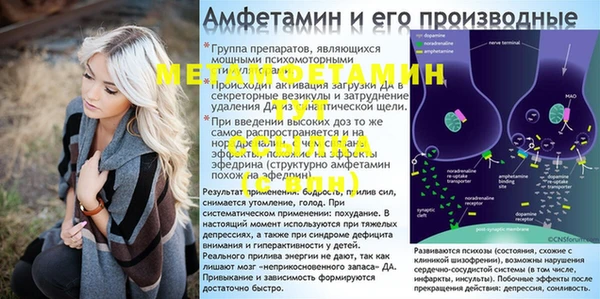сатива Баксан