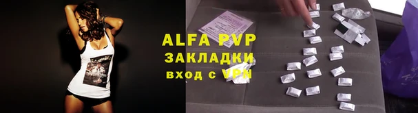 сатива Баксан