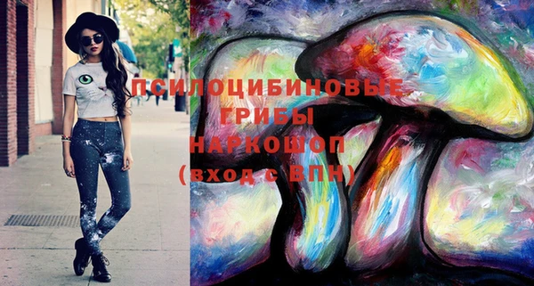 apvp Балахна