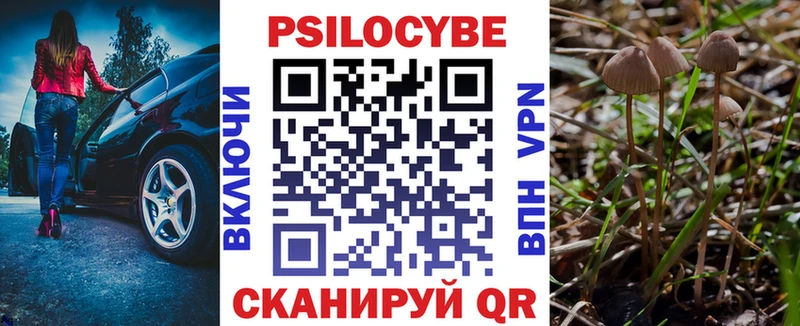 Галлюциногенные грибы ЛСД Кондрово