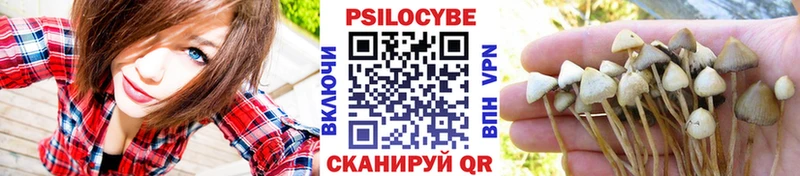 Галлюциногенные грибы Cubensis  где найти наркотики  Кондрово 